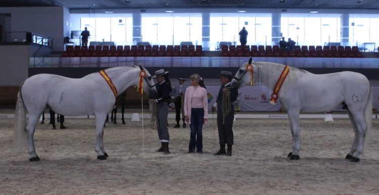 Ejemplares ganadores del Concurso Morfológico./ FEDERACIÓN