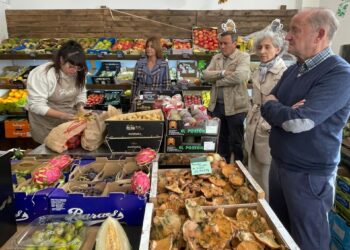 La diputada Magdalena Rodríguez visitó algunos comercios de Palazuelos de Eresma que participaron en la iniciativa ‘Cada compra cuenta’.