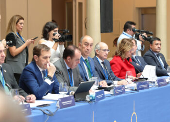 De Vicente, en la Comisión de Diputaciones de la FEMP. / EL ADELANTADO