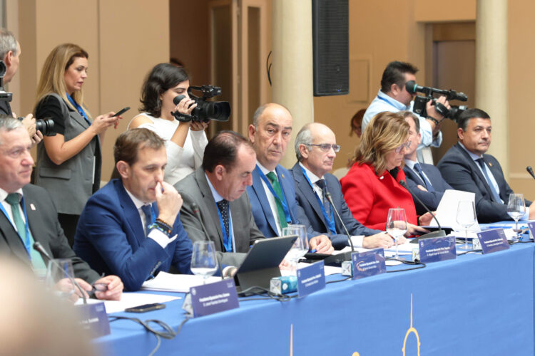 De Vicente, en la Comisión de Diputaciones de la FEMP. / EL ADELANTADO