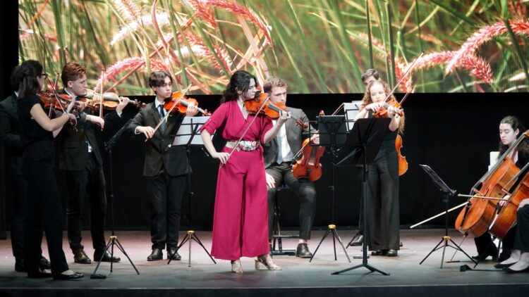 Concierto de las Matinés Musicales del Real Sitio de San Ildefonso del año pasado.