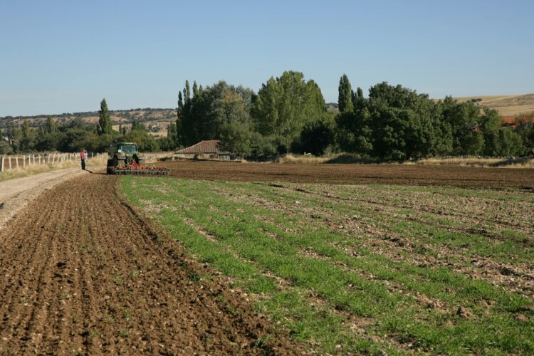 Arando el terreno en Salamanca. / ERIMSA