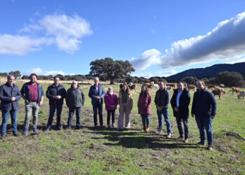 Castilla y León afronta el reto generacional en el campo 5 La consejera de Agricultura, durante la presentación de las ayudas para el cambio generacional./ ICAL