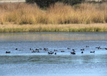 Laguna de Cantalejo.