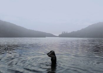 ‘Niebla’. Fotografía ganadora de Blanca Pascual Bermejo