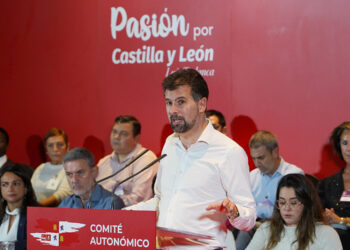 El secretario del PSOE CyL, Luis Tudanca. / Miriam Chacón