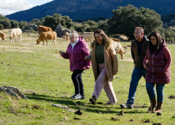 La Junta convoca nuevas ayudas al relevo generacional en el campo 7 La Consejera de Agricultura visita una explotación ganadera en La Horcajada (Ávila), beneficiaria de la anterior convocatoria de estas ayudas. / Raúl Sanchidrián