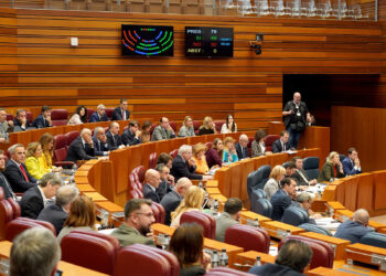 Segunda sesión de Pleno en las Cortes de Castilla y León. / Leticia Pérez