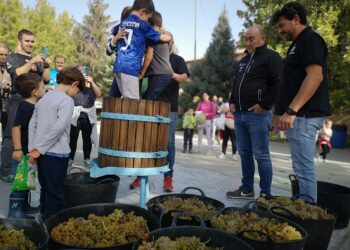 Fiesta de la Vendimia en ediciones pasadas ( E.A.