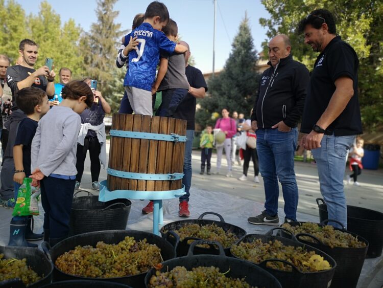 Moraleja de Coca celebra la Fiesta del Fin de la Vendimia con múltiples propuestas 1 Fiesta de la Vendimia en ediciones pasadas ( E.A.