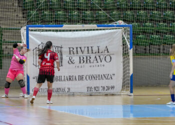 Un gol conseguido por el Segosala Naturpellet en un encuentro anterior./ E.A.