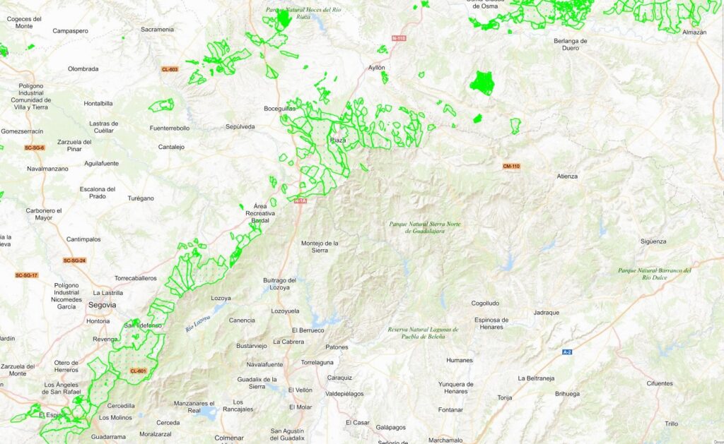 Comienza la temporada de setas en la provincia con buenas previsiones 2 Mapa de los acotados de la provincia de Segovia en color verde / Micocyl