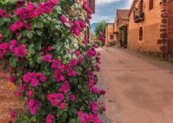 Calles de Villacorta.