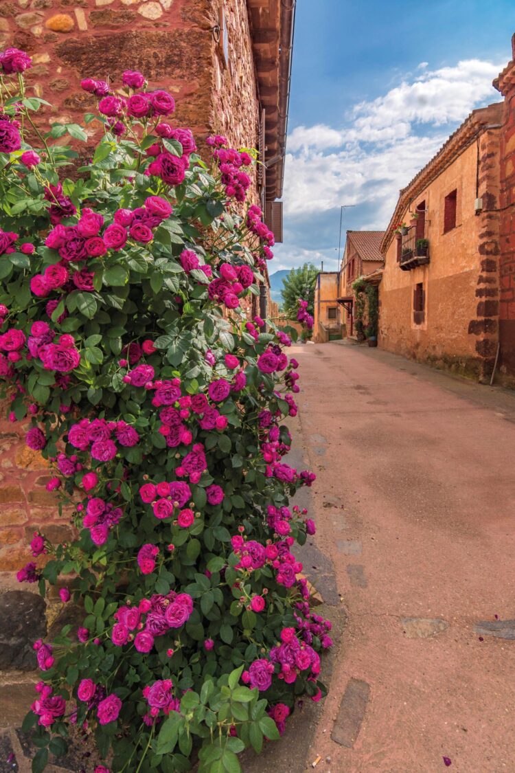 Calles de Villacorta.