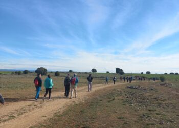 Camino de San Frutos / DIPUTACIÓN DE SEGOVIA