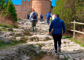 Camino de San Frutos