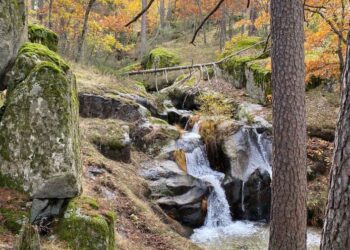 Imagen de presentación de la guía.