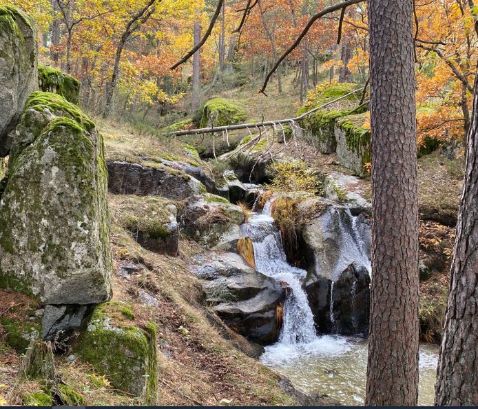 El OAPN publica una guía de rutas de otoño por la sierra de Guadarrama 1 Imagen de presentación de la guía.