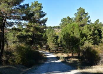 Ruta por la Peña del Moro / E.A.