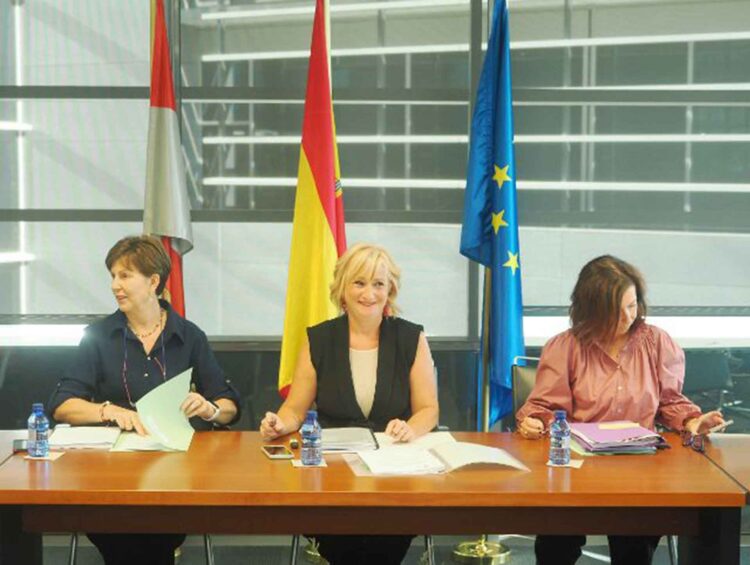 La Junta lanza su apuesta para revitalizar la actividad comercial 1 La consejera de industria, Comercio y Empleo, Leticia García, preside la reunión del Consejo Castellano y Leonés de Comercio.. / JCYL