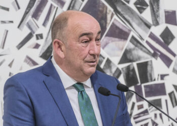 El presidente de la Diputación de Segovia, Miguel Ángel de Vicente. / KAMARERO