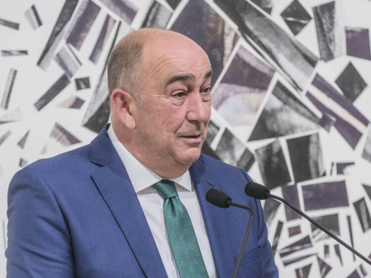 El presidente de la Diputación de Segovia, Miguel Ángel de Vicente. / KAMARERO