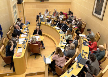 Pleno extraordinario del Ayuntamiento de Segovia. / EL ADELANTADO