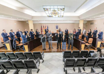 Minuto de silencio guardado en el Pleno de la Diputación de Segovia. / KAMARERO