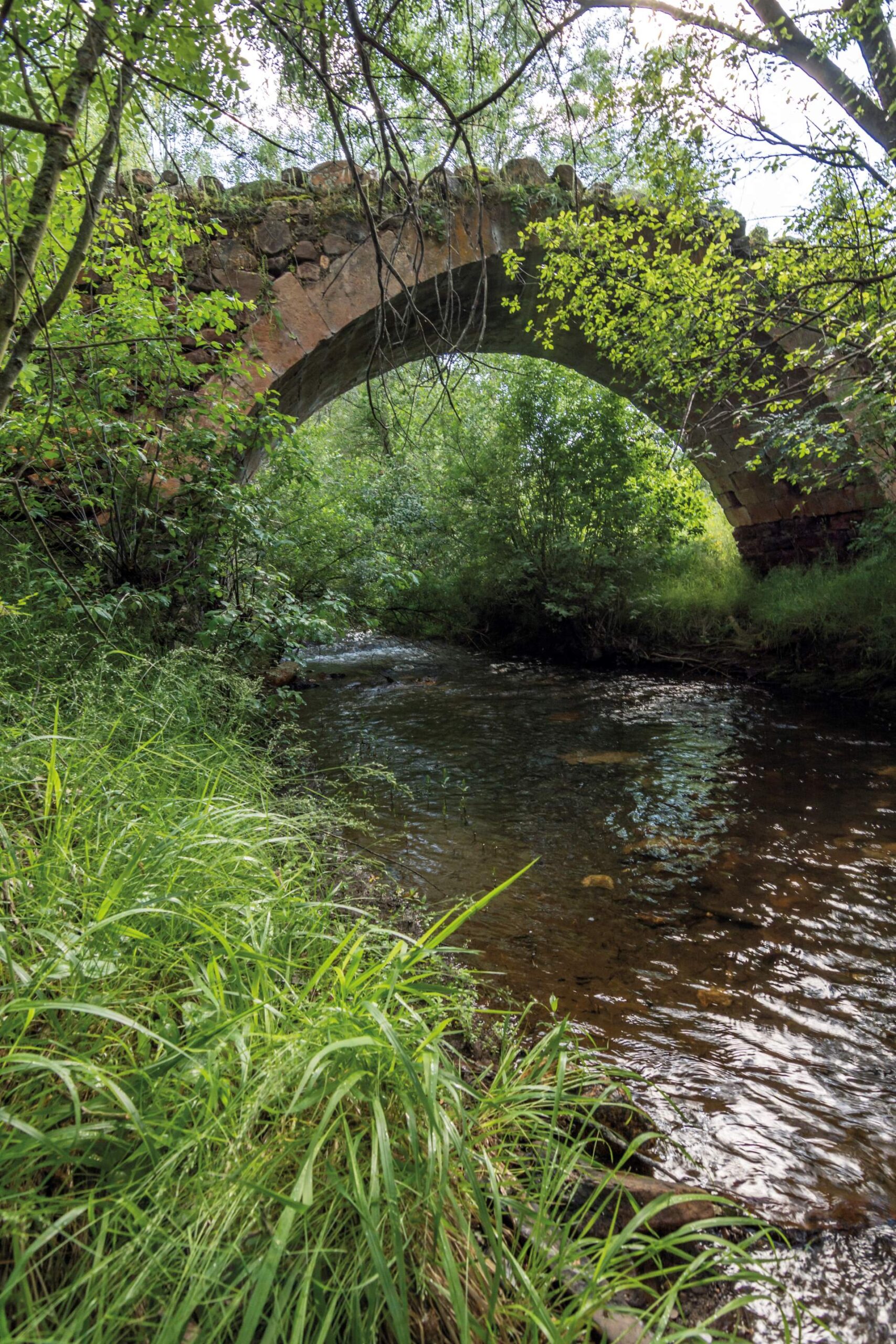 Puente sobre el río Vadillo.