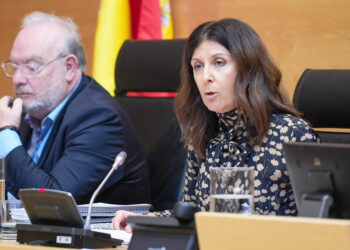 Raquel Alonso, delegada territorial de la Junta de Castilla y León en Segovia. / EL ADELANTADO