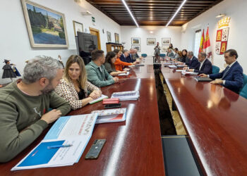Primera reunión de trabajo del PTF de Segovia. / EL ADELANTADO