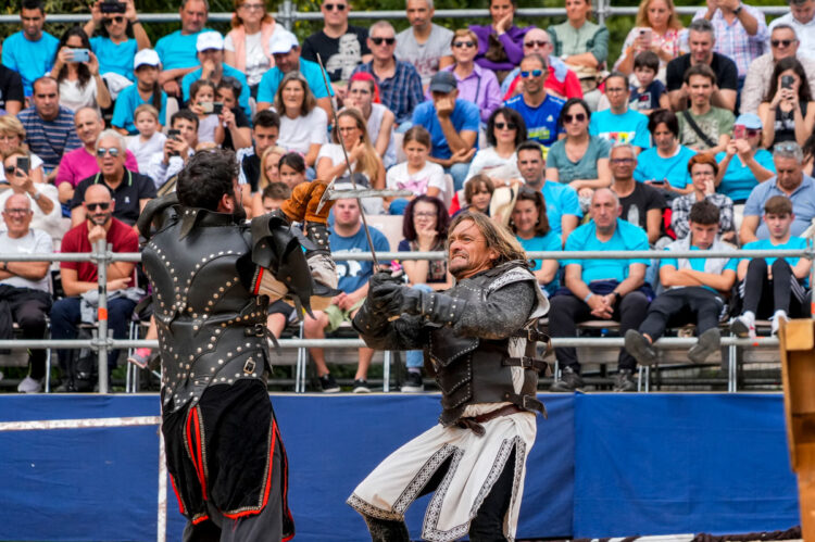 Los actos de la proclamación de Isabel I atraen a miles de personas a las calles de Segovia 1 Torneo y Justas a Caballo - Isabel I de Castilla.