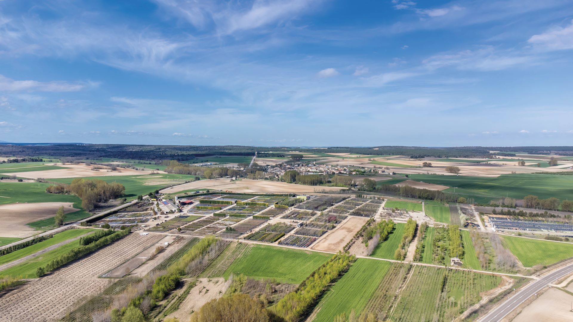 Vista aérea del vivero de El Ejidillo.