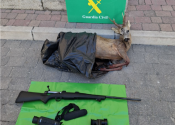 La Guardia Civil de Segovia incauta el cadáver de un corzo, el rifle utilizado para abatirlo y dos visores / GUARDIA CIVIL