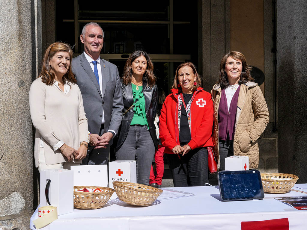 Día de la banderita de Cruz Roja. / EL ADELANTADO
