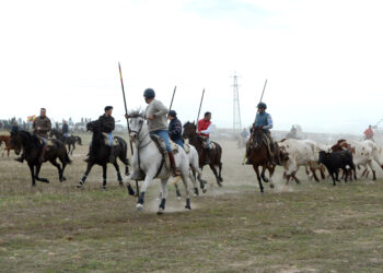Las dos vacas que corrieron el encierro protagonizaron momentos de peligro / AMADOR MARUGÁN