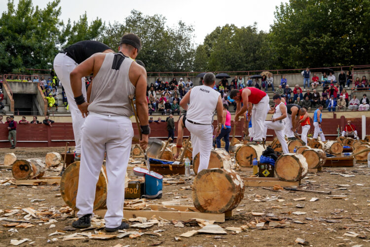 Concurso de corta de troncos en Valsaín en anteriores ediciones / E.A.