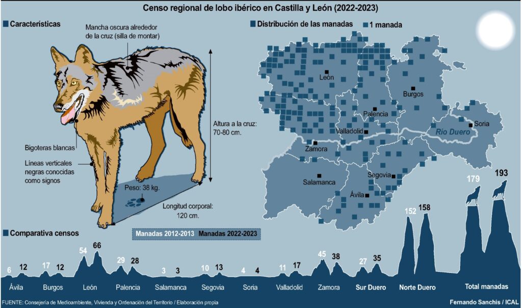 Censo regional de lobo ibérico en Castilla y León (FUENTE: CONSEJERÍA DE MEDIO AMBIENTE, VIVIENDA Y ORDENACIÓN DEL TERRITORIO / ICAL)