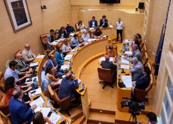 Imagen del pleno del Ayuntamiento de Segovia.