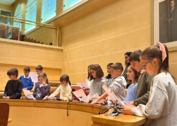 Los niños del Consejo de Infancia y Adolescencia.