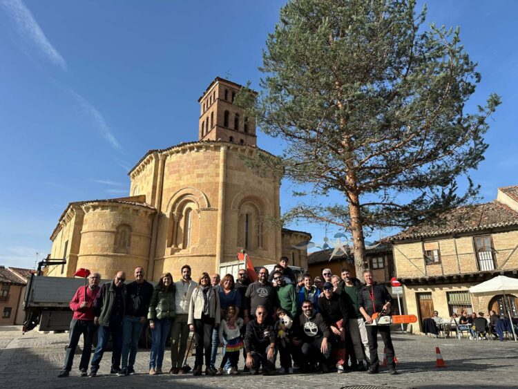 El Pino de Navidad ya adorna la plaza de San Lorenzo.