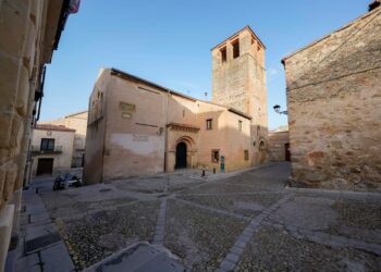El Congreso de Veterinarios de Castilla y León se abrirá en la Real Academia de Arte e Historia de San Quirce.