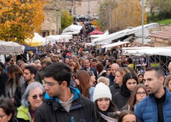 Cientos de personas se acercaron a Navafría para presenciar su 53ª Feria del Ganado.