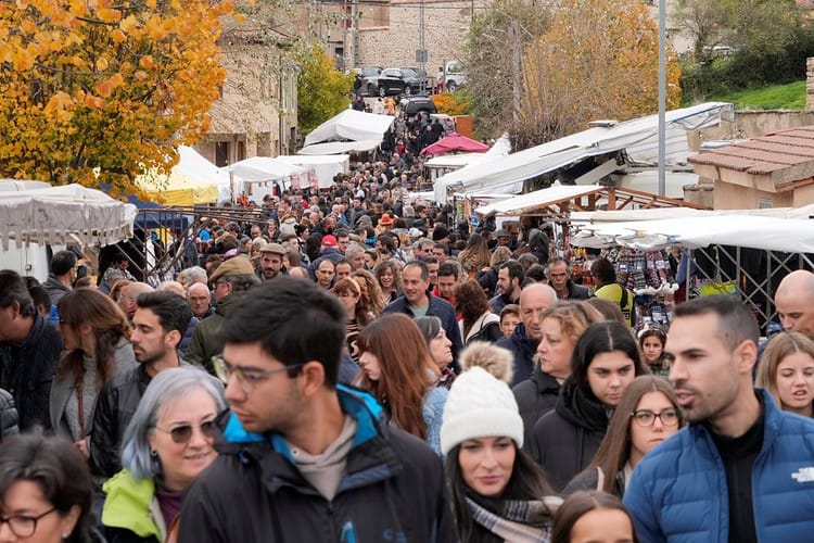 Cientos de personas se acercaron a Navafría para presenciar su 53ª Feria del Ganado.