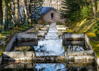 Las jornadas terminaron con la visita a la piscifactoría de La Granja de San Ildefonso, una de las más antiguas de España.