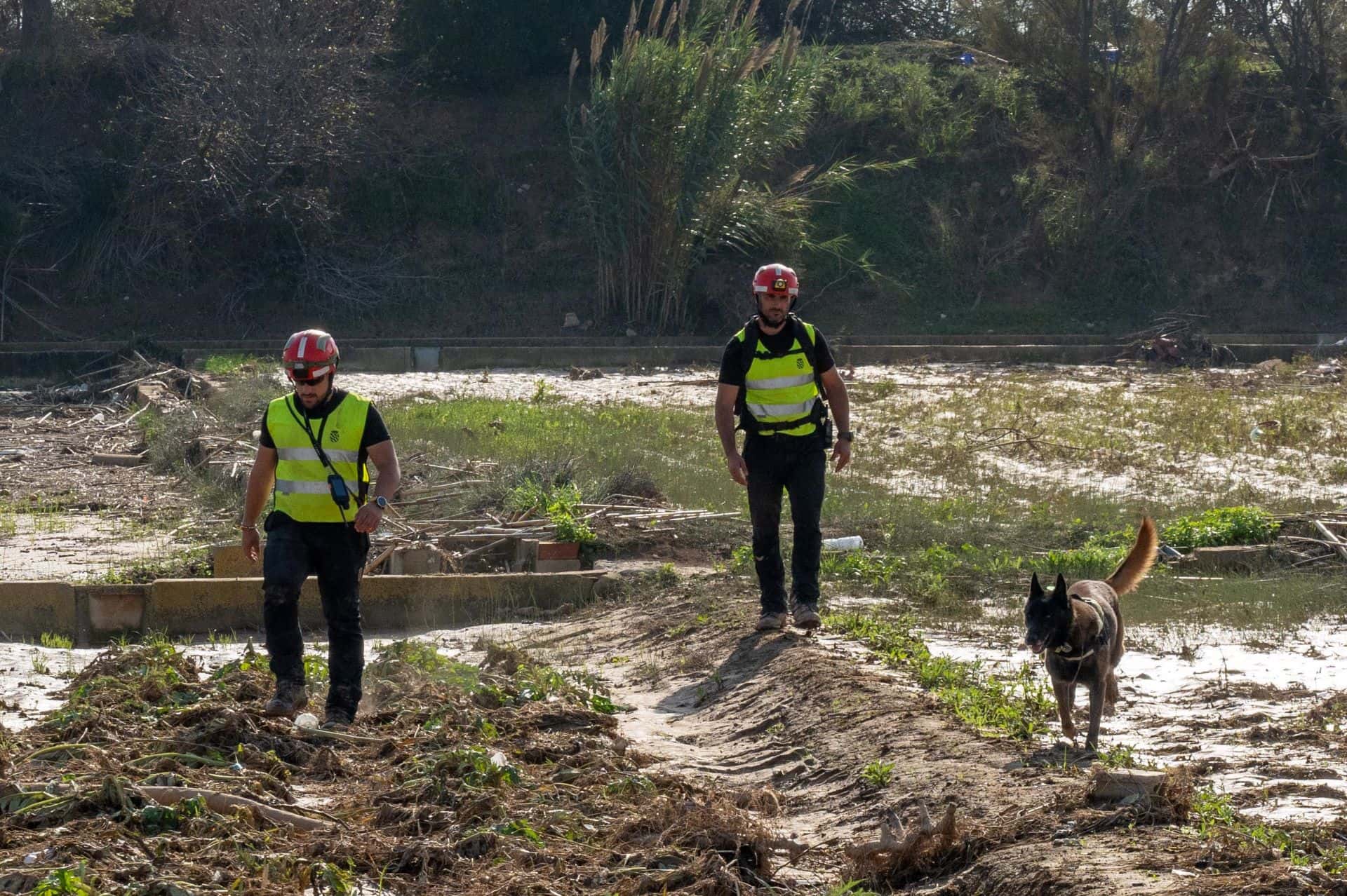 Cuando los héroes llevan cepillos, palas y mangueras 4 El V batallón de la UME con sede en León rastrea la albufera en busca de desaparecidos.
