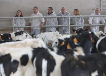 La consejera de Agricultura, María González Corral (i), en una granja bovina de la Comunidad./ ICAL