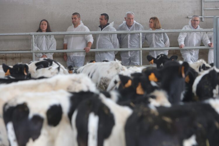Dos millones de euros para 957 granjas afectadas por el EHE 1 La consejera de Agricultura, María González Corral (i), en una granja bovina de la Comunidad./ ICAL