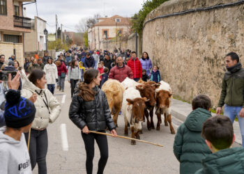 Turégano acoge este fin de semana su arraigada Feria de San Andrés a beneficio de los damnificados por la DANA.