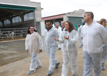 La Consejería de Agricultura duplica la ayuda para modernizar los cebaderos de explotaciones ganaderas 1 María González Corral visita una explotación ganadera en Corrales del Vino, Zamora. / JL Leal